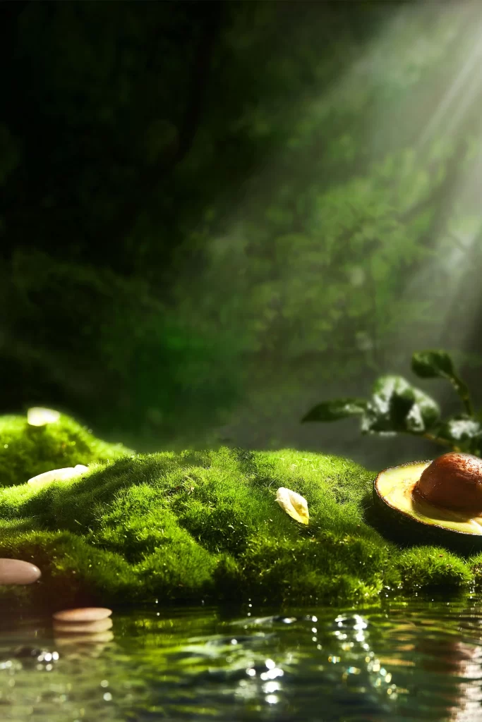 Nature Moss Avocado Light Reflection