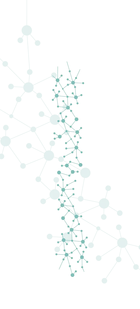 Network Connections Nodes Graphical Representation