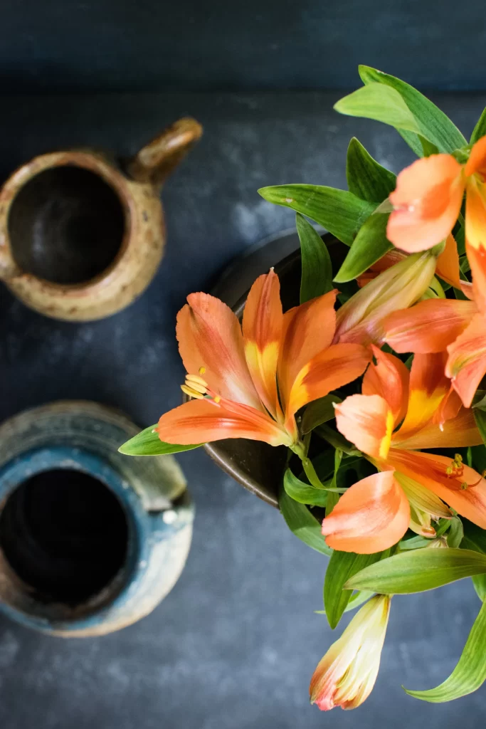 Orange Lily Trumpet Shaped Blooms Green Leaves