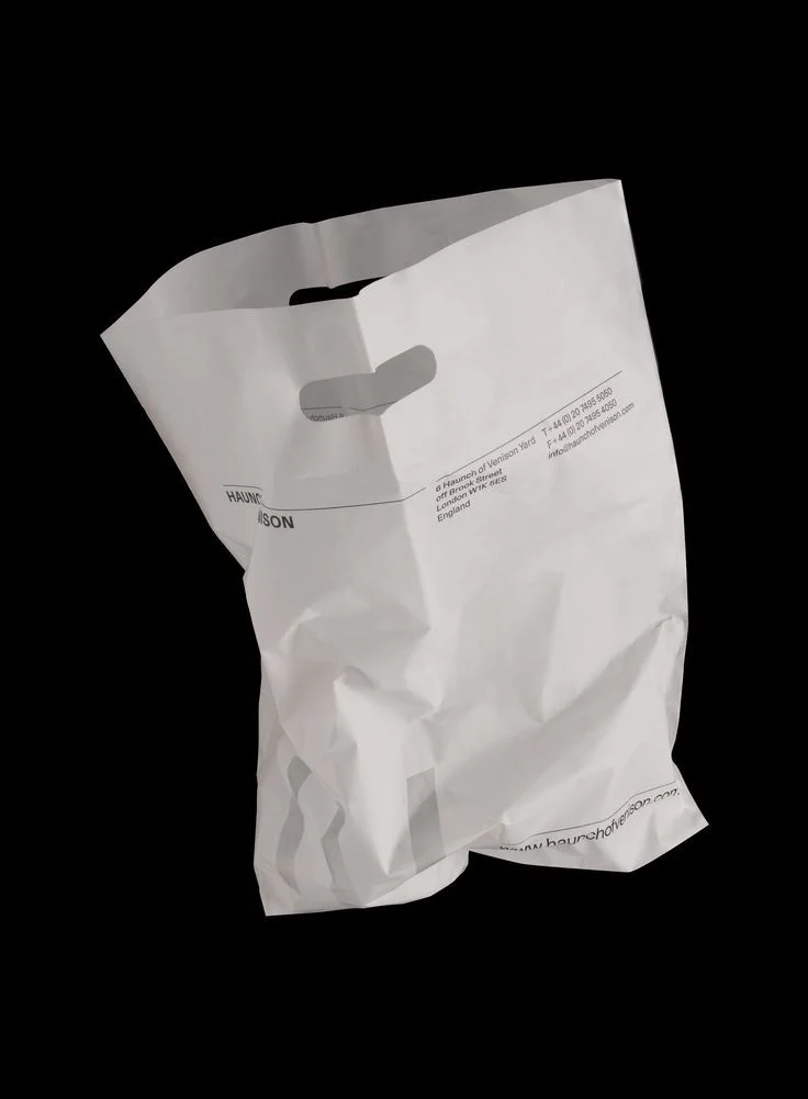 Paper Bag White Minimalist Crumpled Modern Design