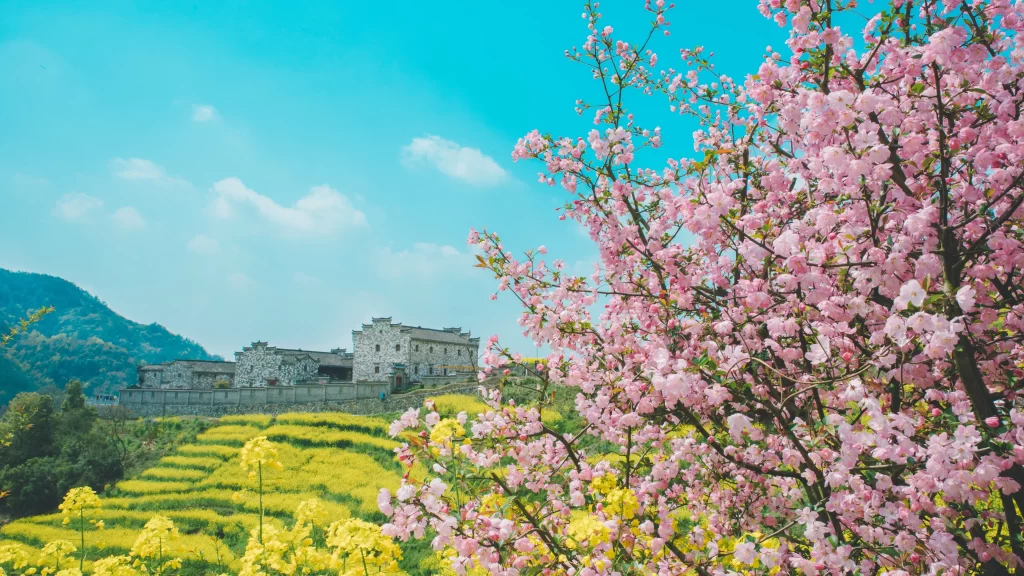 Peach Blossom Pink Yellow Green Blue cool Sky