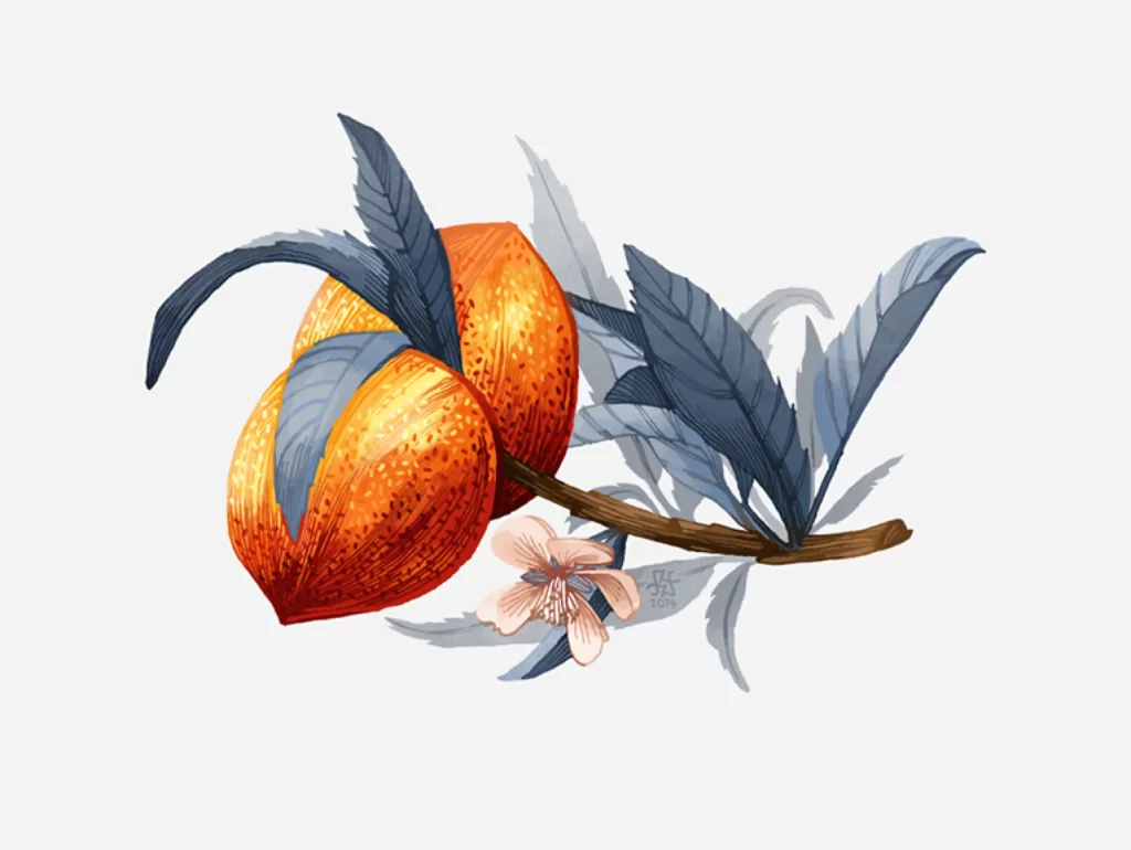 Peach Branch Leaves Flower