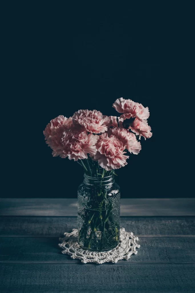 Pink Carnation Bloom Petals dark Vase