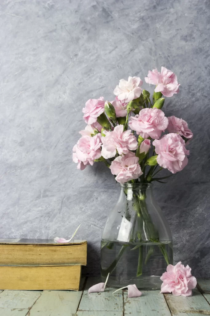 Pink Carnation Bloom Petals gray Vase
