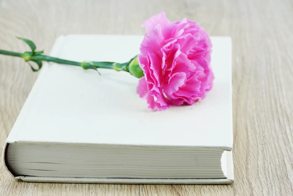 Pink Carnation Bloom Petals Book