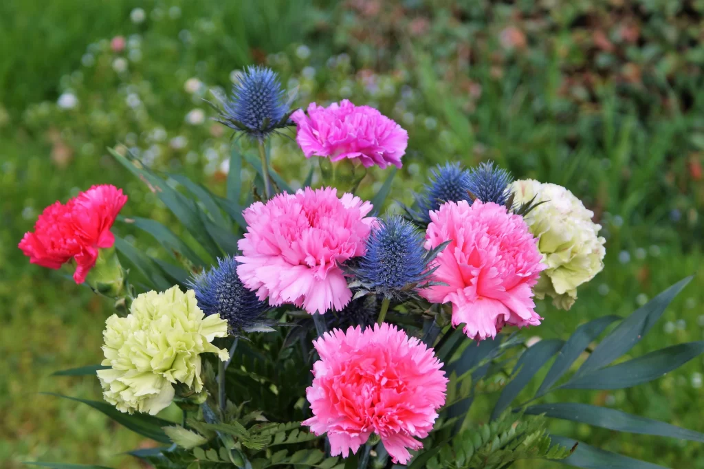 Pink Carnation Blue Thistle Yellow White Green