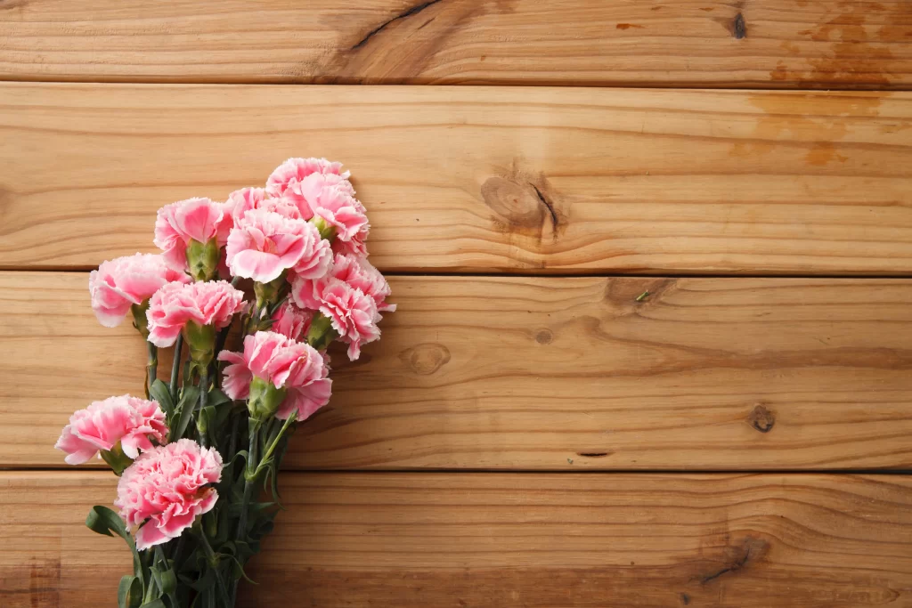 Pink Carnation Bouquet Petals Green warm Stems