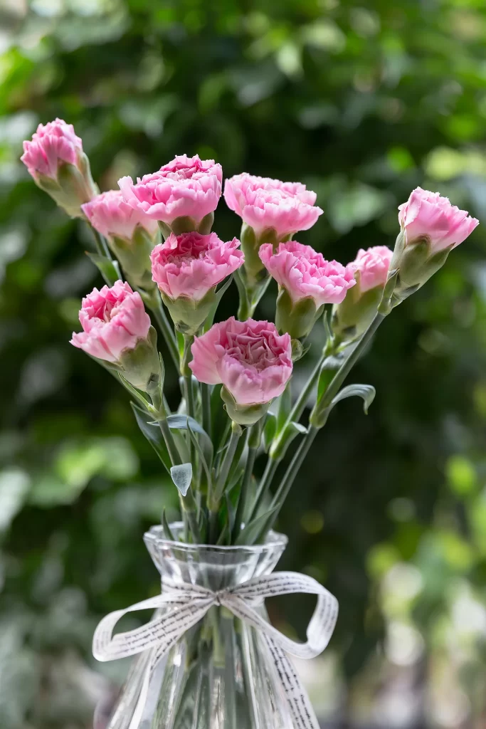Pink Carnation Bouquet Petals Greenery Vase