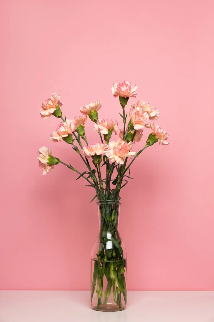 Pink Carnation Bouquet Petals Vase Green Stems