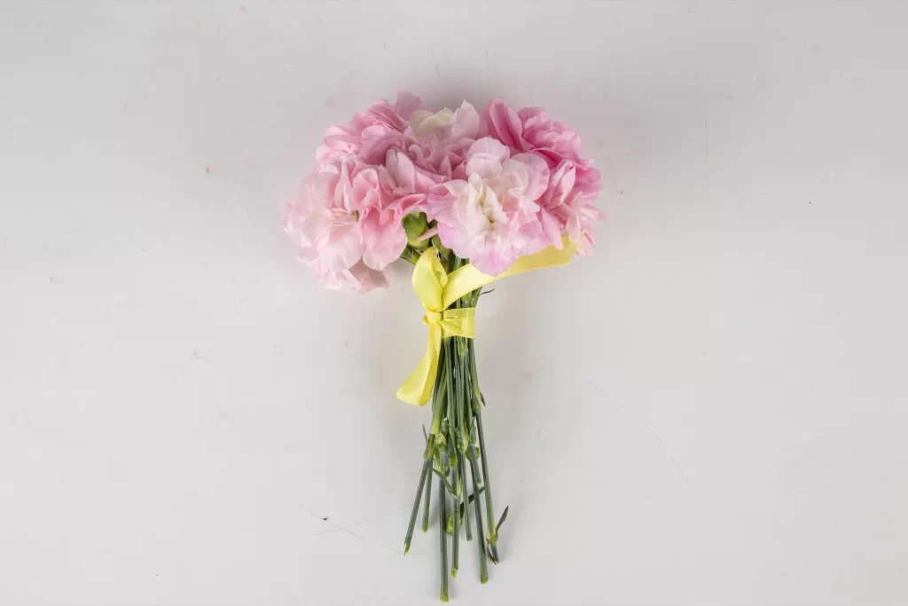 Pink Carnation Bouquet Yellow Ribbon Green Stems