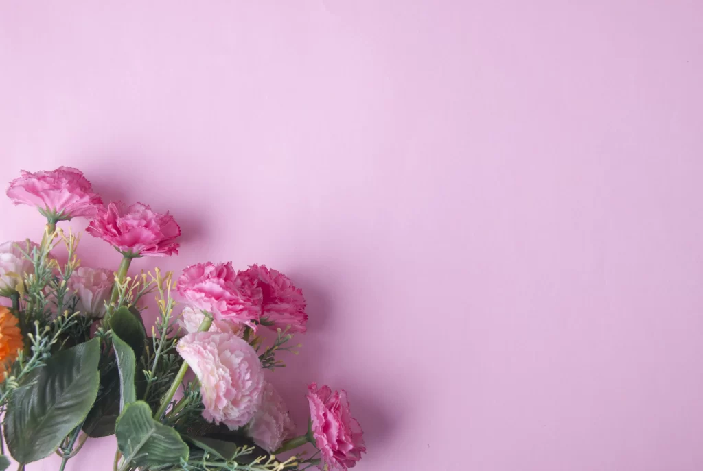 Pink Carnation Cluster Petals warm Greenery
