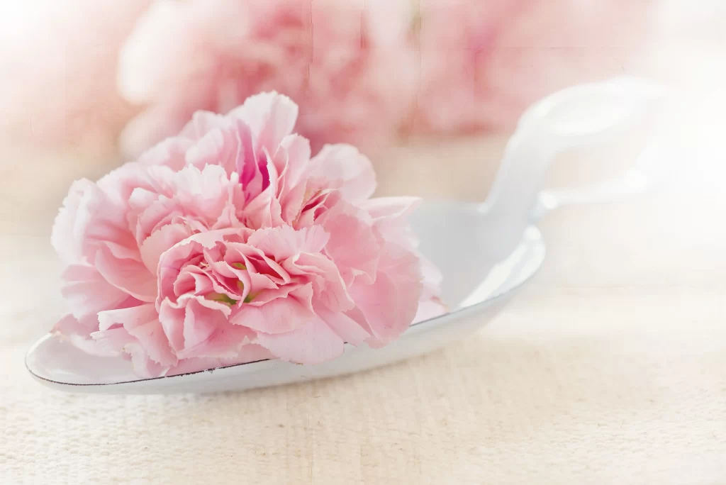 Pink Carnation Petals Delicate White Dish