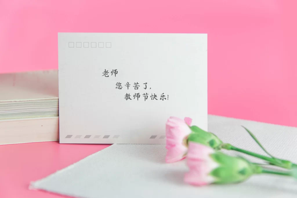 Pink Carnation Petals Green warm Stems