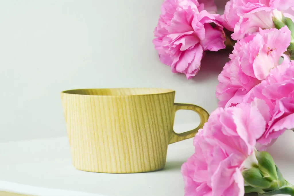 Pink Carnation Petals Ruffled Green gray Stems