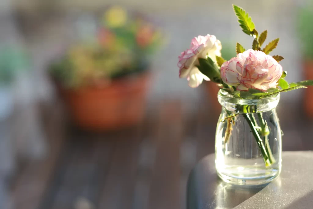 Pink Carnation Petals Vase Green Leaves