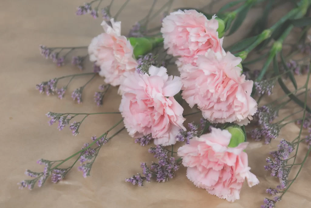 Pink Carnation Ruffled Petals Green Stems Purple Filler