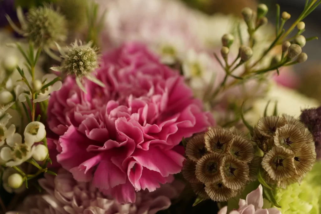 Pink Carnation Ruffled Petals Greenery