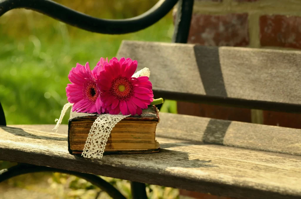 Pink Chrysanthemum Petals Lace Book Bench