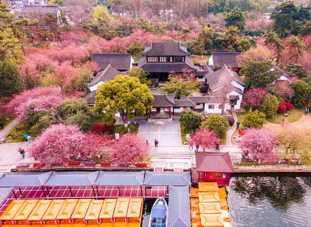 Pink Crabapple Blossom Petals Trees Garden