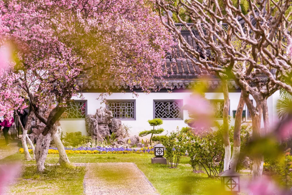 Pink Crabapple Blossom Petals Tree Garden