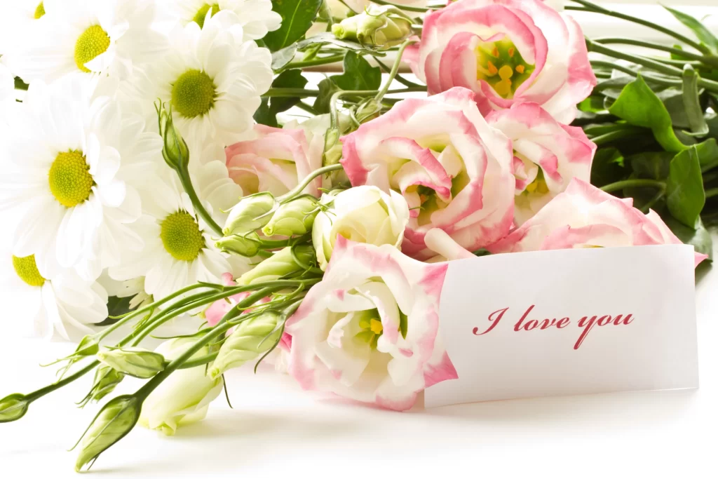 Pink Eustoma White Daisy Yellow Center Love Note