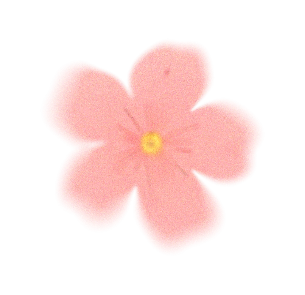 Pink Flower Petals Yellow Center