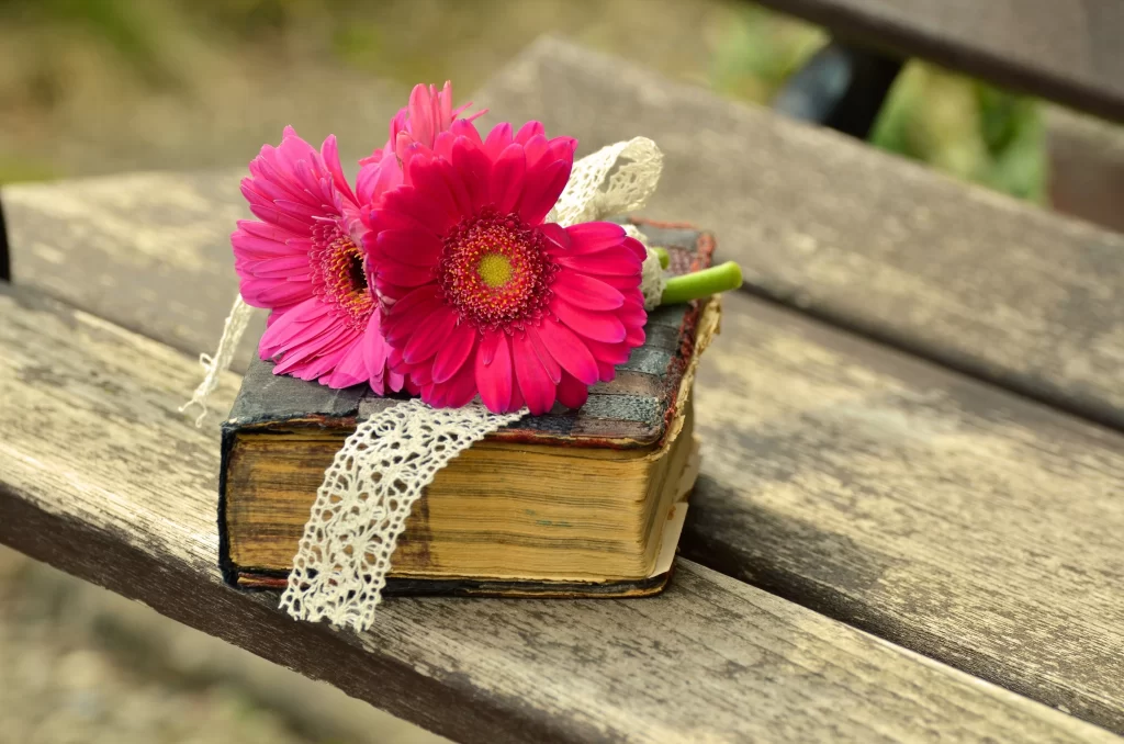 Pink Gerbera Daisy Petals Bench