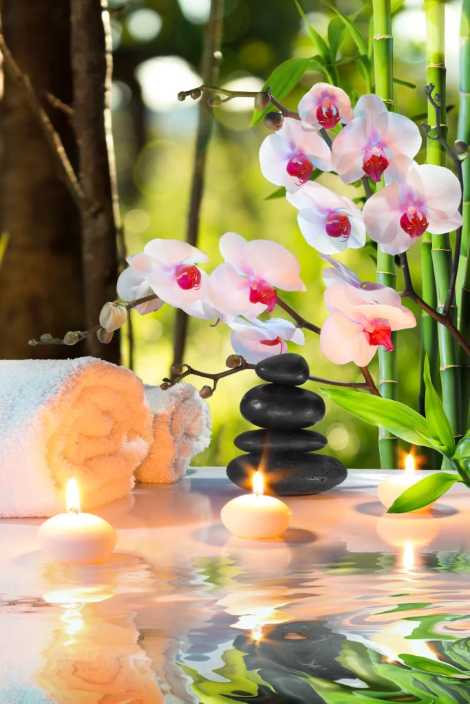 Pink Orchid Bloom Petals Greenery