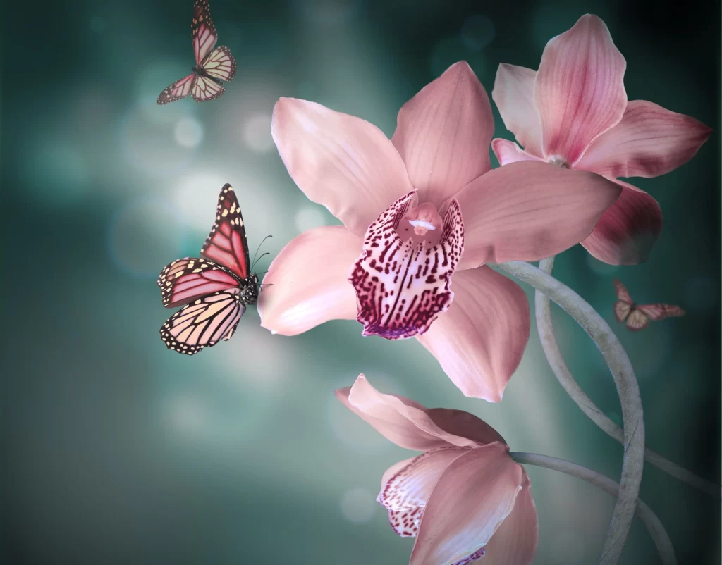 Pink Orchid Petals Butterflies