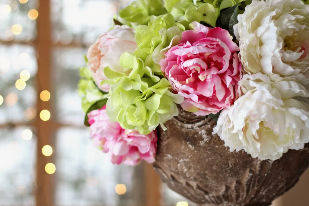 Pink Peony Bloom Petals gray Green