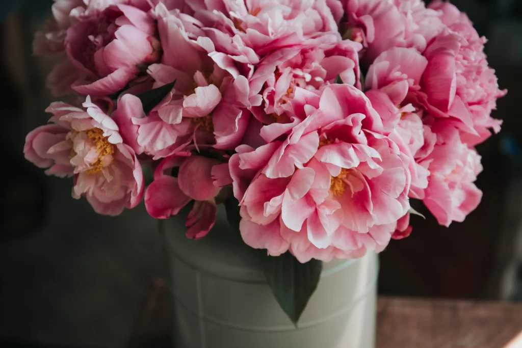 Pink Peony Bloom Petals Vase
