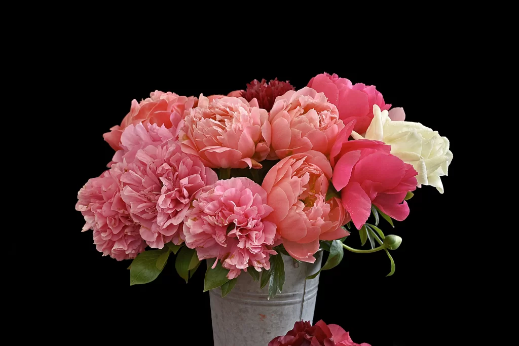 Pink Peony Bouquet Petals Vase