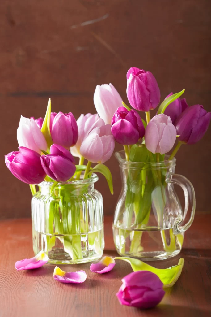 Pink Purple Tulip Petals Vase