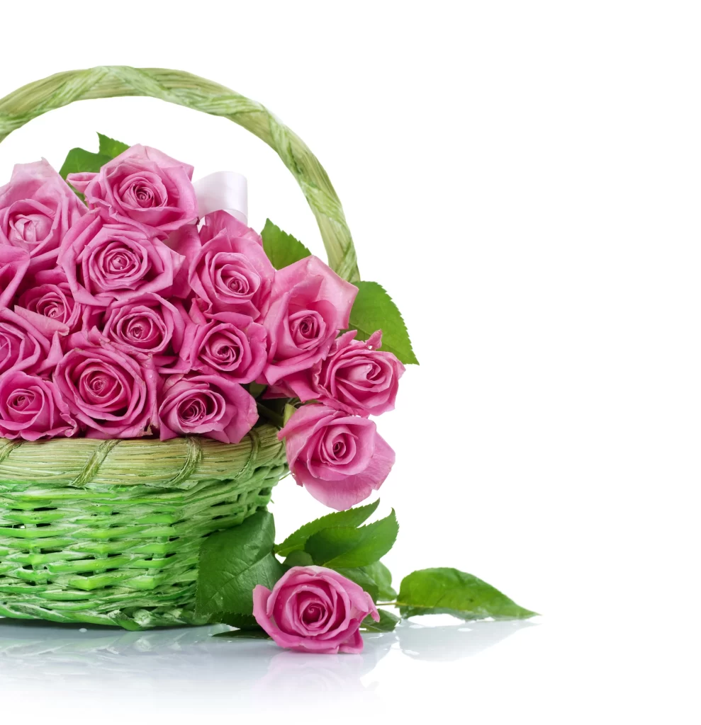 Pink Rose Basket Green Leaves
