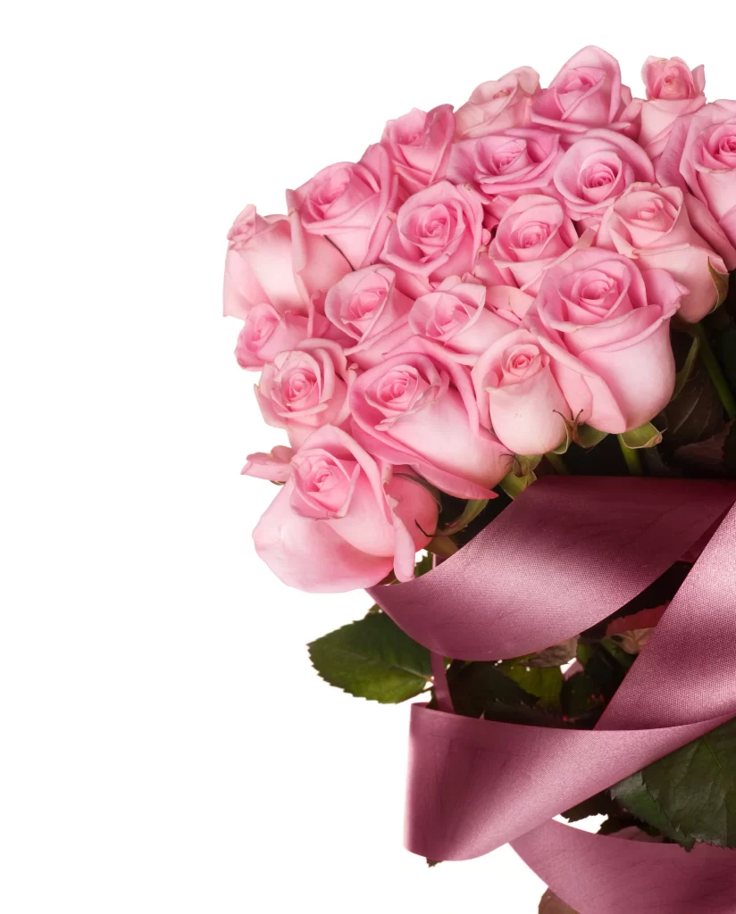 Pink Rose Bouquet Ribbon Green Leaves