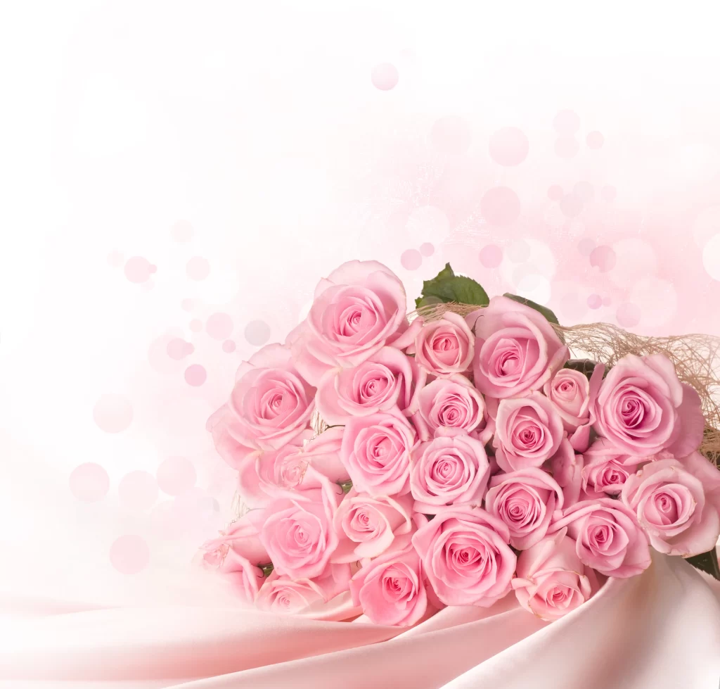 Pink Rose Bouquet Soft Focus Dreamy Background