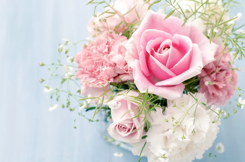 Pink Rose Carnation White Flower Greenery Soft Pastel