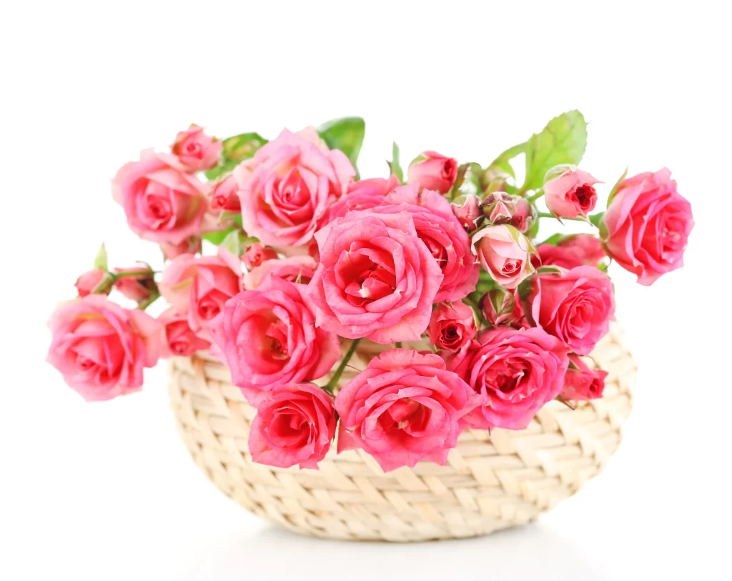 Pink Rose Flower Basket