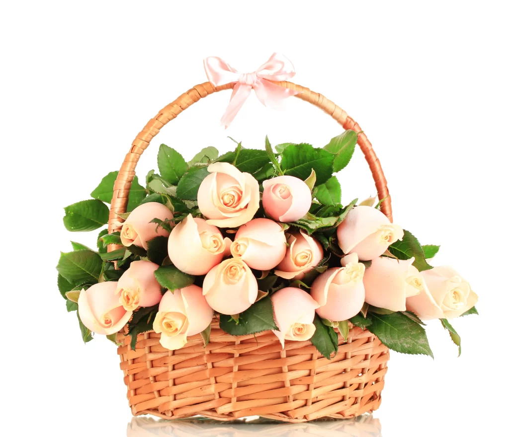 Pink Rose Flower Basket Green Leaves