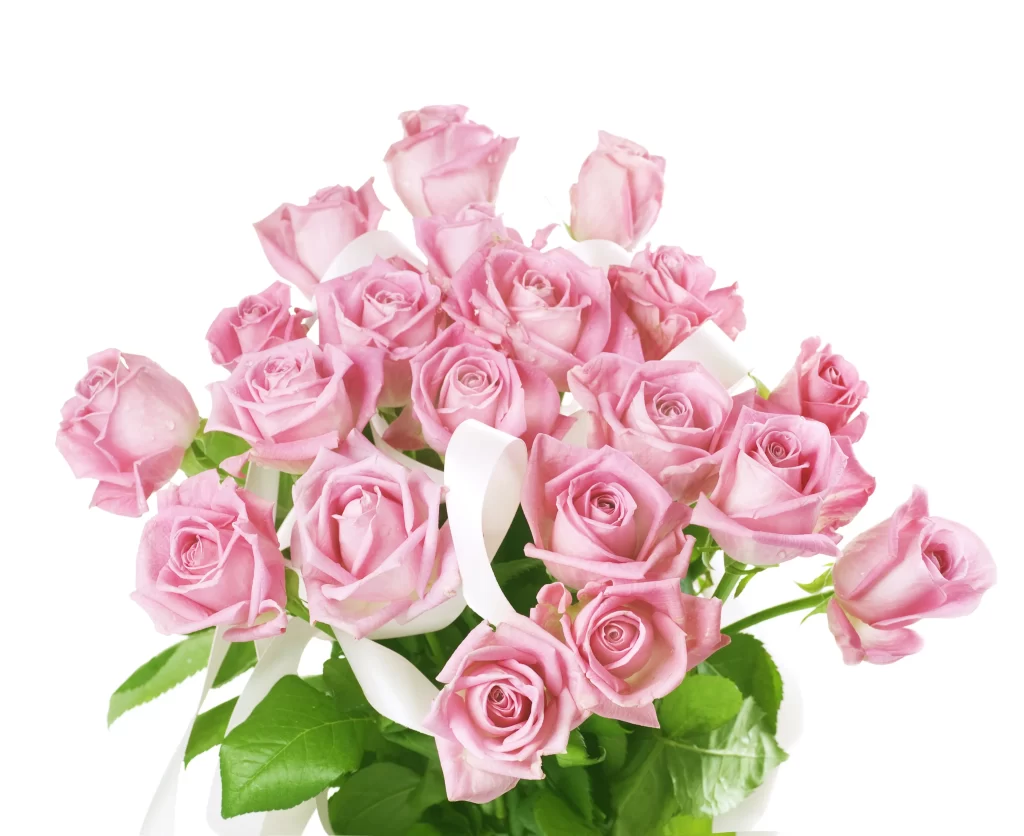 Pink Rose Flower Petal Beauty Bouquet
