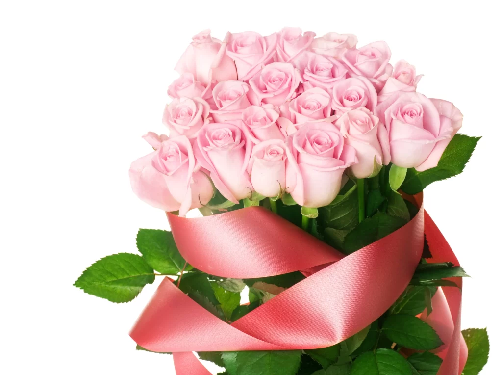 Pink Rose Flower Petal Bouquet gray Ribbon