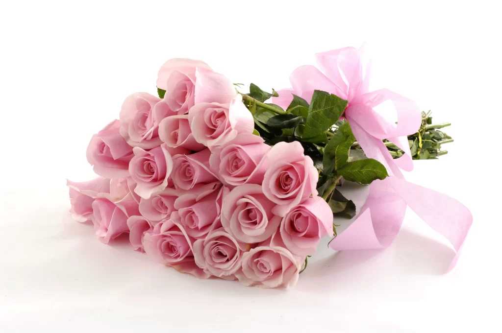 Pink Rose Flower Petal Bouquet white Ribbon