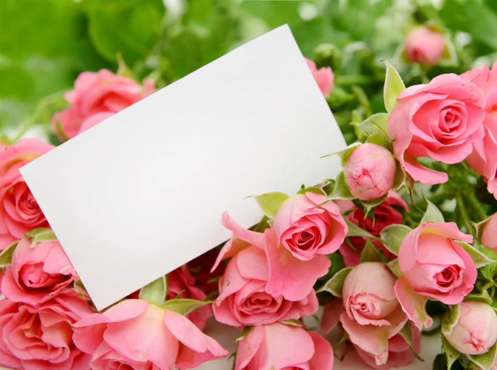 Pink Rose Flower Petal Colorful neutral Bouquet