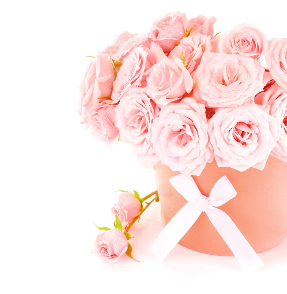 Pink Rose Flower Petal Gift Box Bow