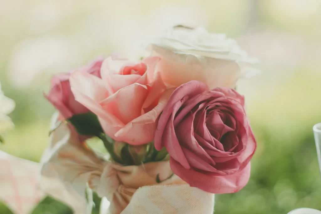 Pink Rose Flower Petal Macro Photography gray Garden