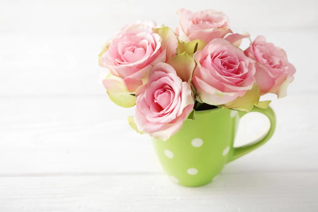 Pink Rose Flower Petal Macro Photography white Garden
