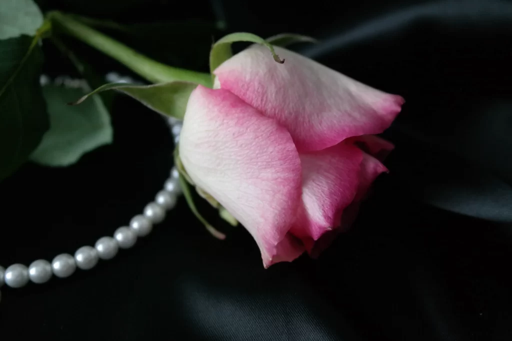 Pink Rose Flower Petal Pearl Necklace