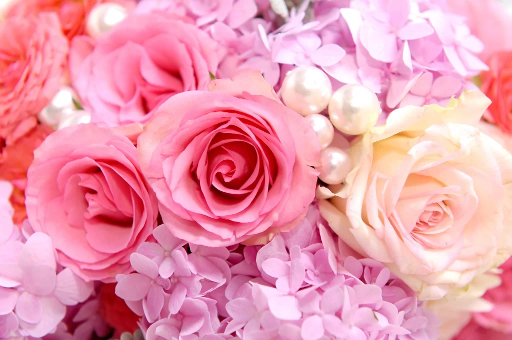 Pink Rose Flower Petal Pearl