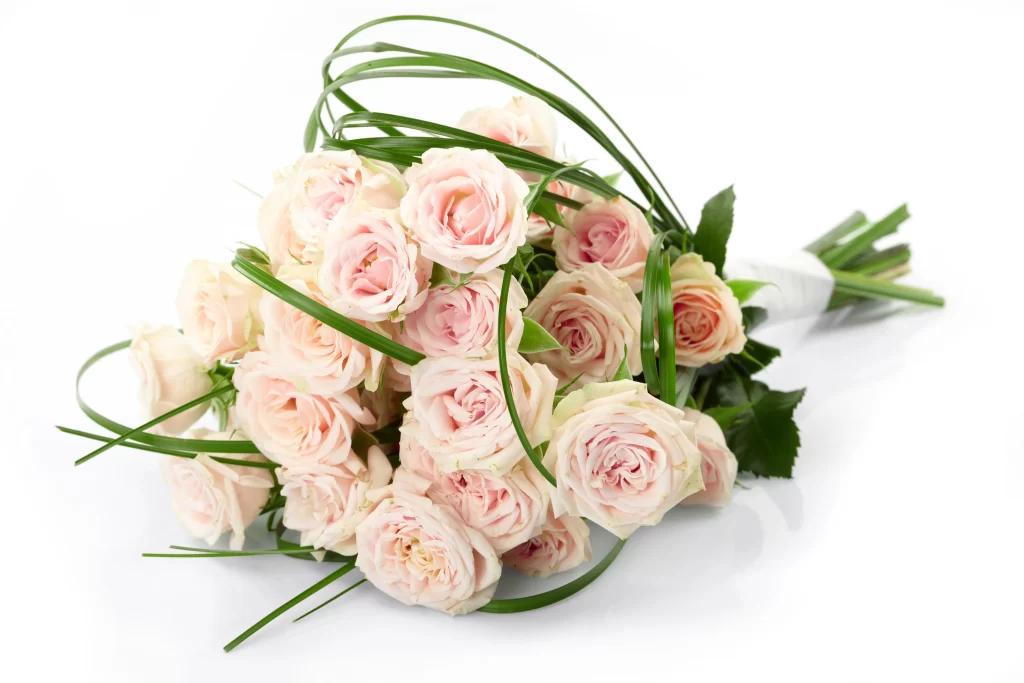 Pink Rose Flower Petal Soft Color white Bouquet