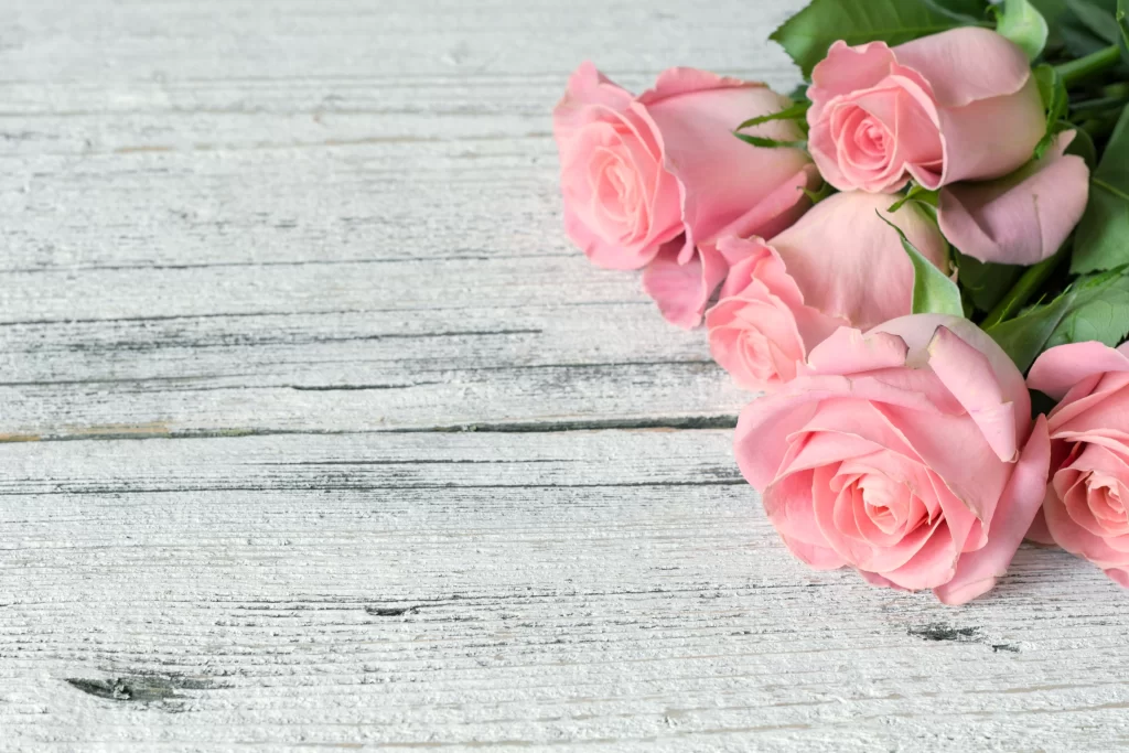 Pink Rose Flower Petal Soft Color Rustic Background